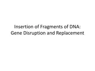 I nsertion of Fragments of DNA: G ene D isruption and Replacement