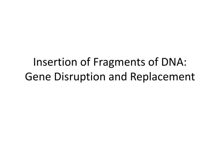 i nsertion of fragments of dna g ene d isruption and replacement