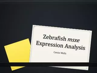 Zebrafish msxe E xpression Analysis