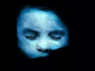 Gottfreid Helnwein