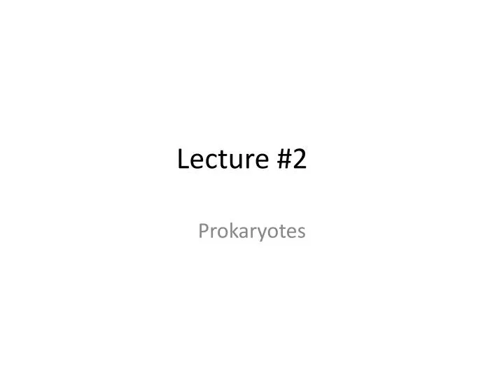 lecture 2