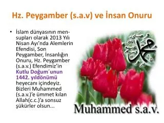hz peygamber s a v ve nsan onuru