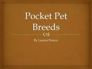 Pocket P et Breeds