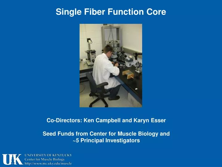 single fiber function core