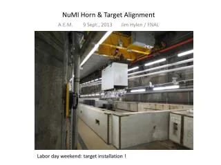 NuMI Horn &amp; Target Alignment