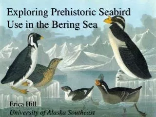 Exploring Prehistoric Seabird Use in the Bering Sea