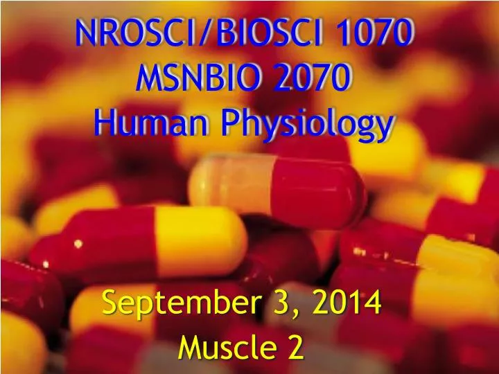 nrosci biosci 1070 msnbio 2070 human physiology