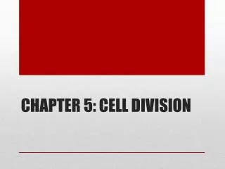 CHAPTER 5: CELL DIVISION
