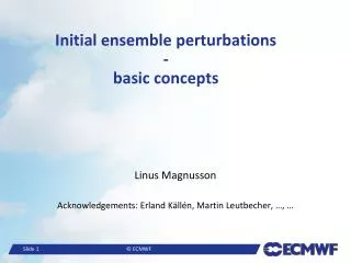 Initial ensemble perturbations - basic concepts