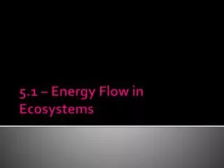 5.1 – Energy Flow in Ecosystems