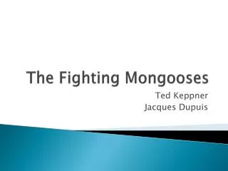 The Fighting Mongooses