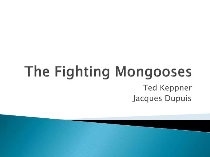the fighting mongooses