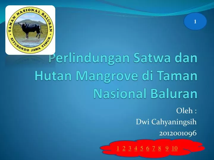 perlindungan satwa dan hutan mangrove di taman nasional baluran