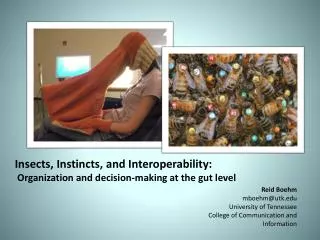 Insects, Instincts, and Interoperability: Organization and decision-making at the gut level