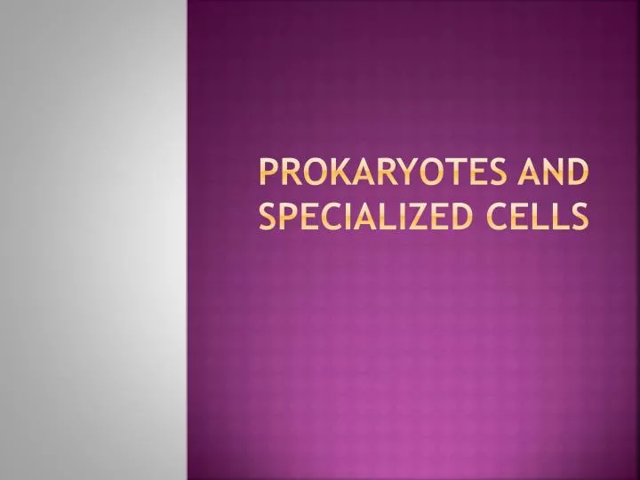 prokaryotes and specialized cells