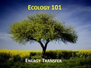 Ecology 101