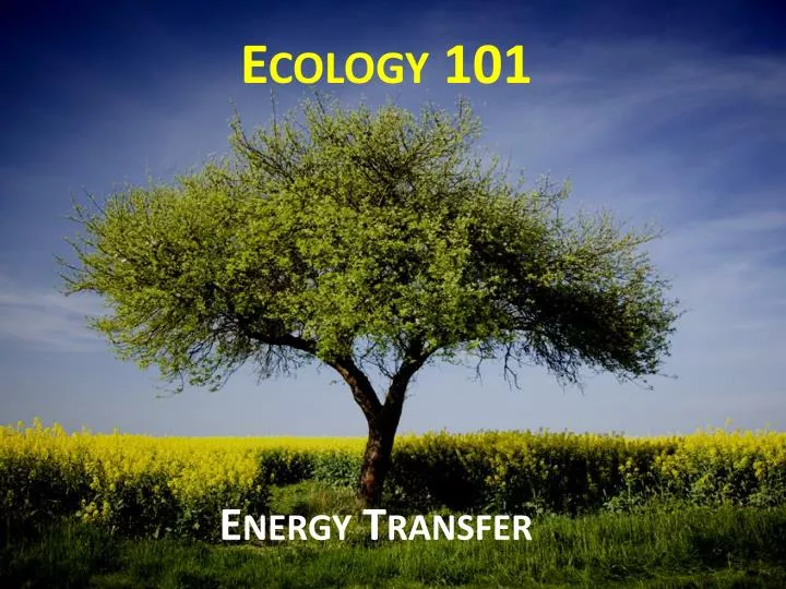 ecology 101