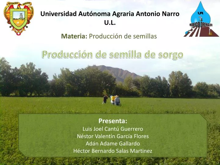 universidad aut noma agraria antonio narro u l