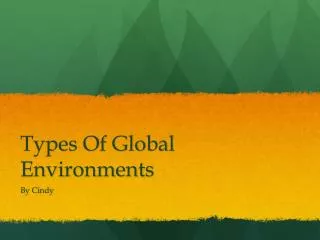 Types Of Global Environments