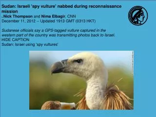 Sudan: Israeli ' spy vulture ' nabbed during reconnaissance mission