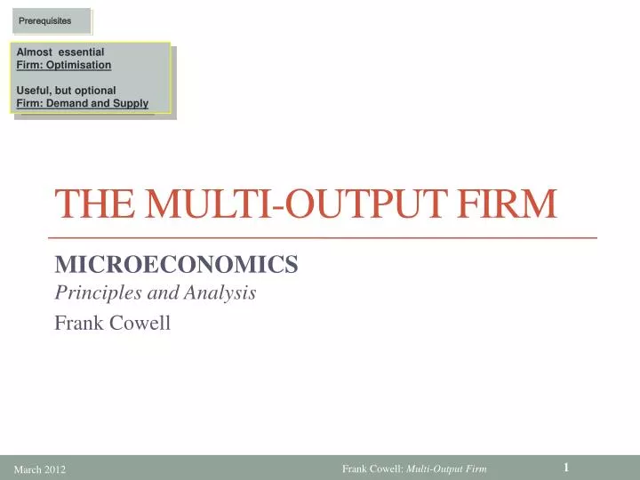 the multi output firm