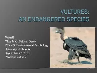 Vultures: An Endangered S pecies