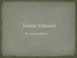 turkey vultures
