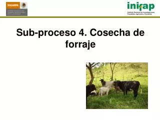 sub proceso 4 cosecha de forraje