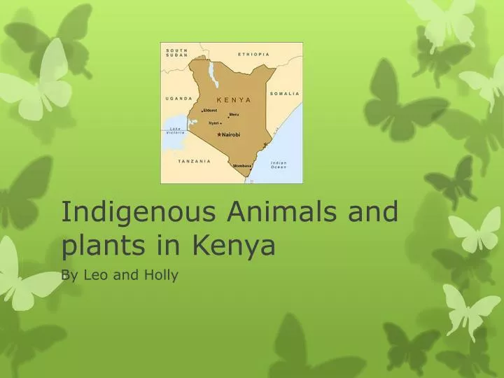 indigenous animals and plants in kenya