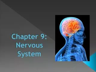 Chapter 9: Nervous System
