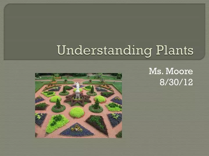 understanding plants