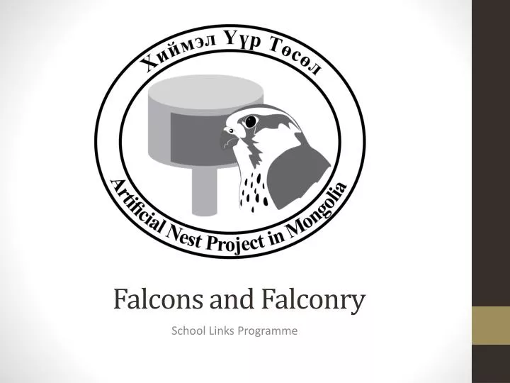 falcons and falconry