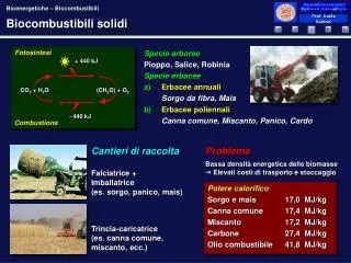 biocombustibili solidi