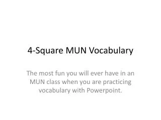 4-Square MUN Vocabulary