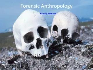 Forensic Anthropology