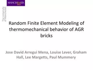 Random Finite Element Modeling of thermomechanical behavior of AGR bricks
