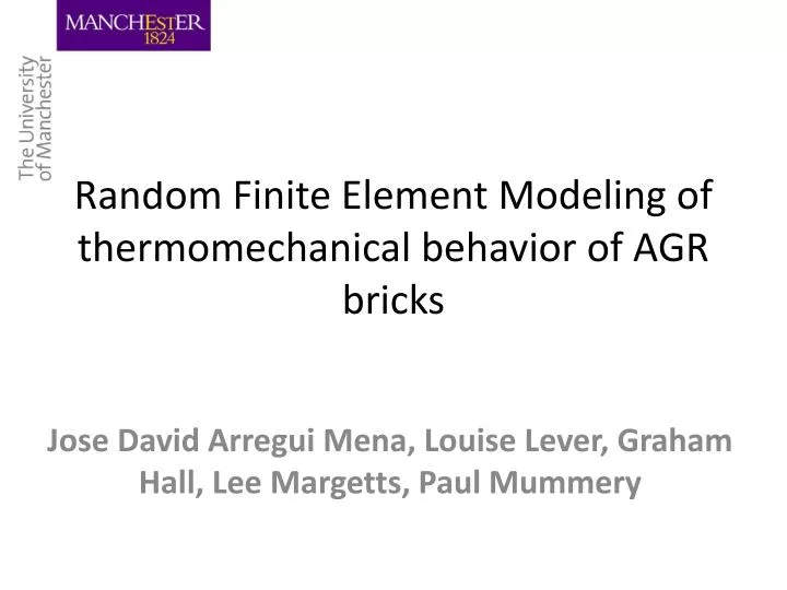 random finite element modeling of thermomechanical behavior of agr bricks