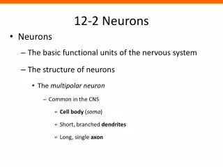 12-2 Neurons