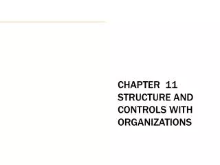 CHAPTER 11 STRUCTURE AND CONTROLS WITH ORGANIZATIONS