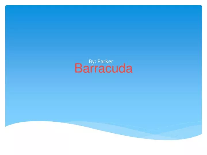 barracuda