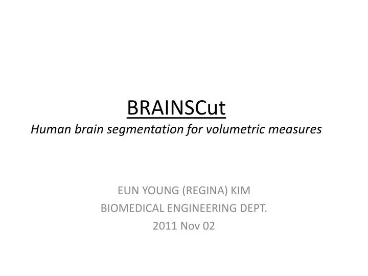 brainscut human brain segmentation for volumetric measures