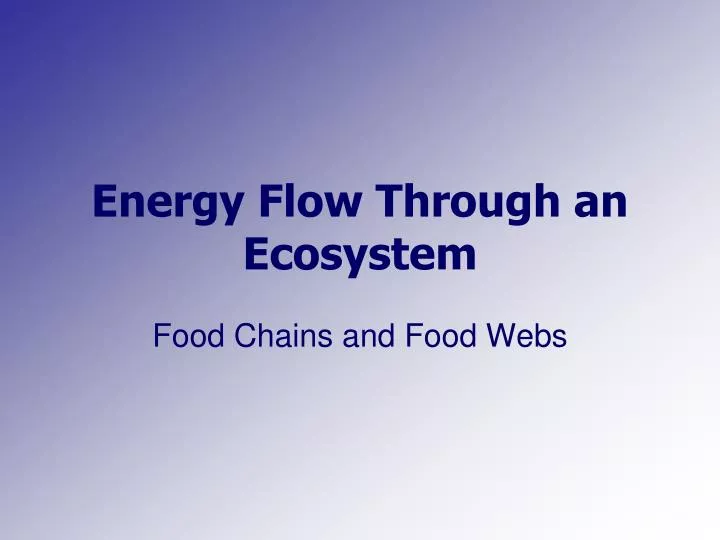 energy flow through an ecosystem