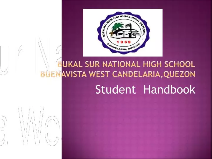 bukal sur national high school buenavista west candelaria quezon