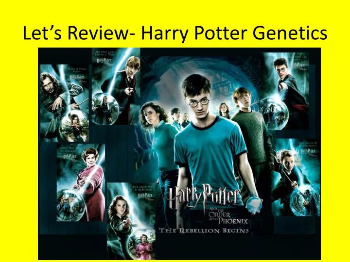 let s review harry potter genetics