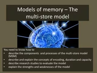 Models of memory – The multi-store model