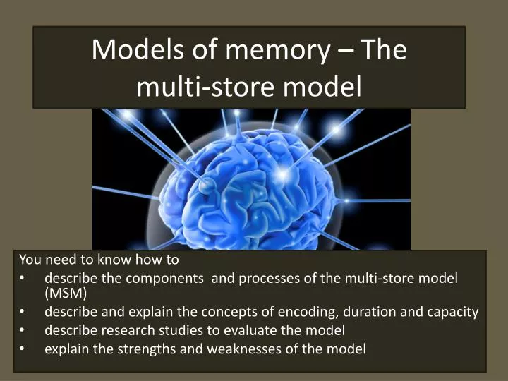 models of memory the multi store model