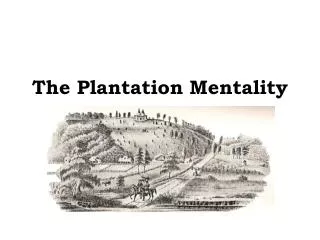The Plantation Mentality