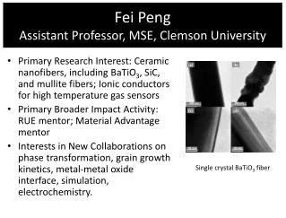 fei peng assistant professor mse clemson university