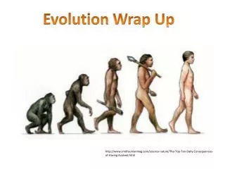 Evolution Wrap Up
