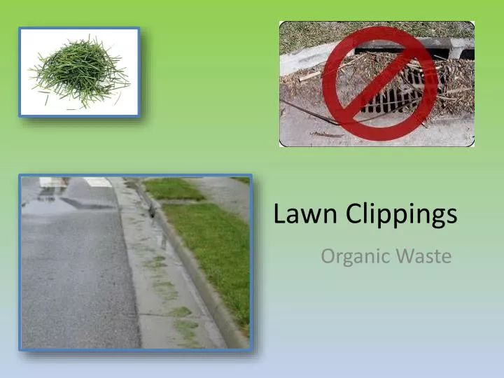 lawn clippings